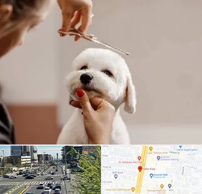 آرایشگاه پت در ستاری 