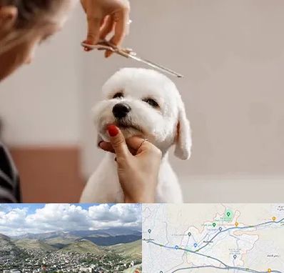 آرایشگاه پت در رودهن