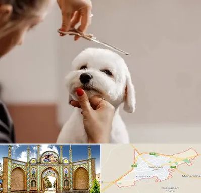 آرایشگاه پت در سمنان