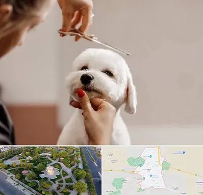 آرایشگاه پت در کاشمر