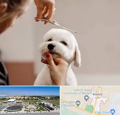 آرایشگاه پت در ملارد