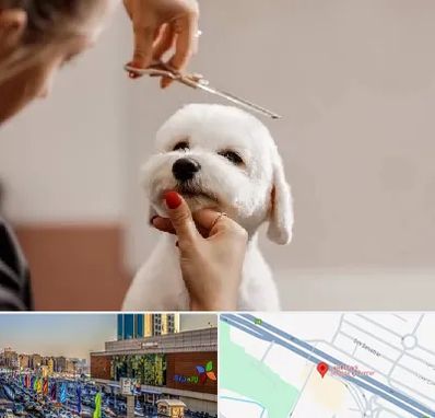 آرایشگاه پت در لاله پارک تبریز