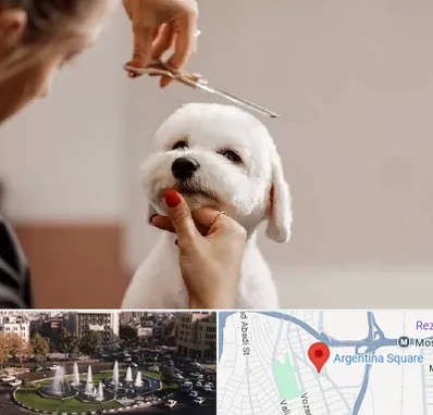 آرایشگاه پت در آرژانتین