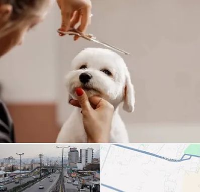 آرایشگاه پت در بلوار ارتش