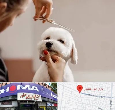 آرایشگاه پت در امین حضور