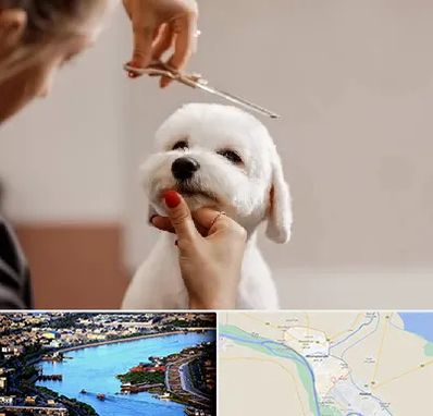 آرایشگاه پت در خرمشهر