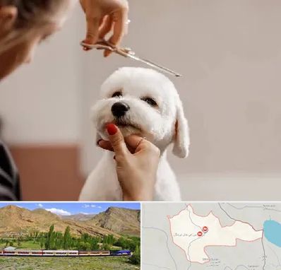 آرایشگاه پت در خاش