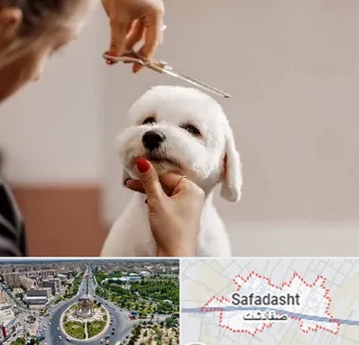 آرایشگاه پت در صفادشت