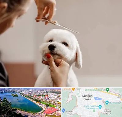 آرایشگاه پت در لاهیجان