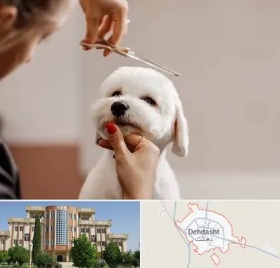 آرایشگاه پت در دهدشت