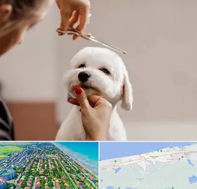 آرایشگاه پت در فریدونکنار