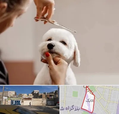 آرایشگاه پت در اتابک