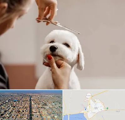 آرایشگاه پت در بندر ماهشهر