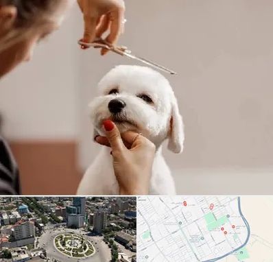 آرایشگاه پت در زرافشان اسلامشهر