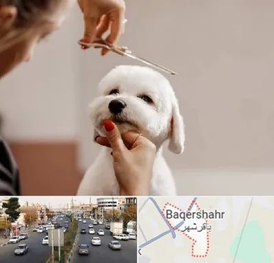 آرایشگاه پت در باقرشهر