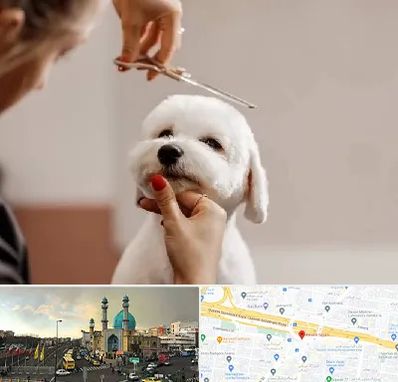 آرایشگاه پت در رسالت 