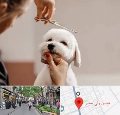 آرایشگاه پت در ولیعصر شهریار