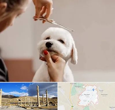 آرایشگاه پت در مرودشت