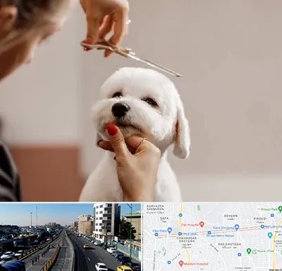 آرایشگاه پت در پیروزی 