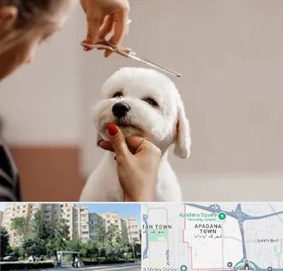 آرایشگاه پت در آپادانا