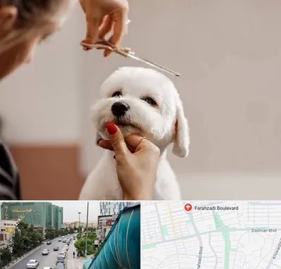 آرایشگاه پت در بلوار فرحزادی