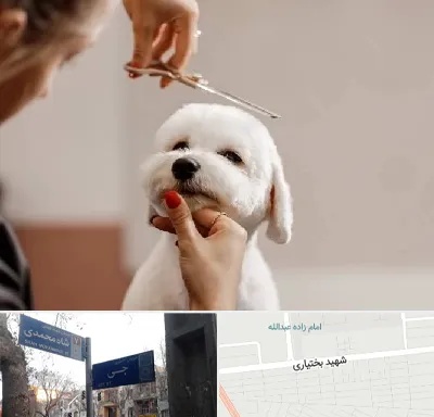آرایشگاه پت در سی متری جی