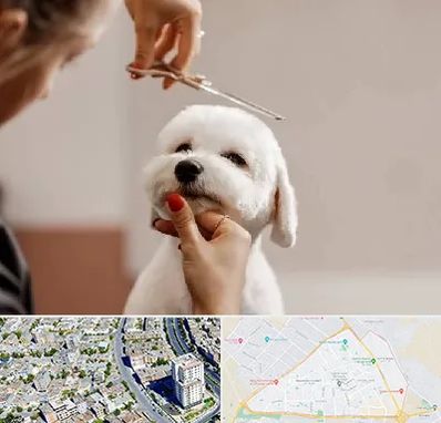 آرایشگاه پت در قاسم آباد مشهد