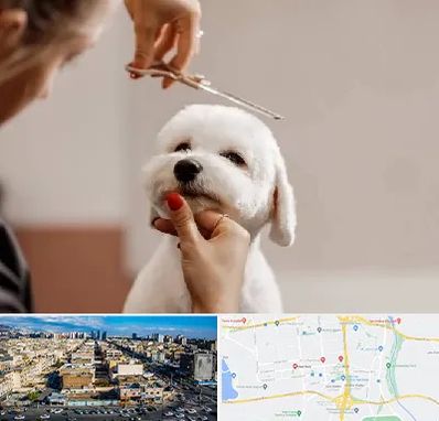 آرایشگاه پت در شهرک راه آهن