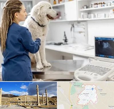 سونوگرافی سگ در مرودشت