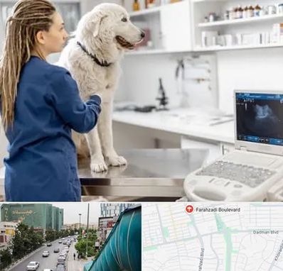 سونوگرافی سگ در بلوار فرحزادی