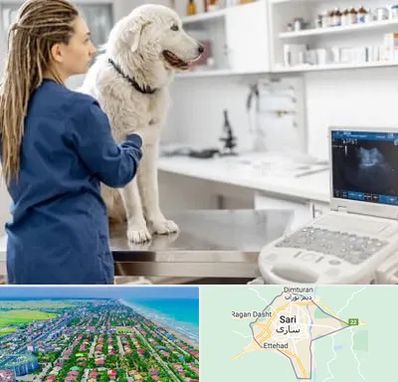 سونوگرافی سگ در ساری
