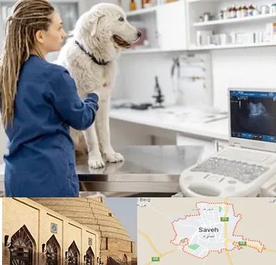 سونوگرافی سگ در ساوه