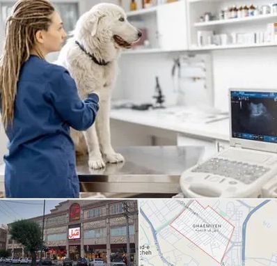 سونوگرافی سگ در قائمیه اسلامشهر