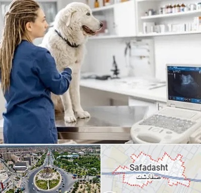 سونوگرافی سگ در صفادشت