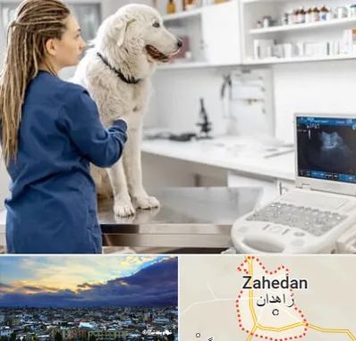 سونوگرافی سگ در زاهدان