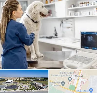 سونوگرافی سگ در ملارد