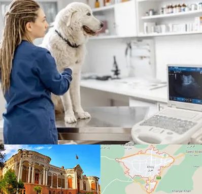 سونوگرافی سگ در خوی