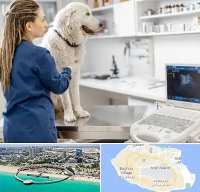 سونوگرافی سگ در کیش