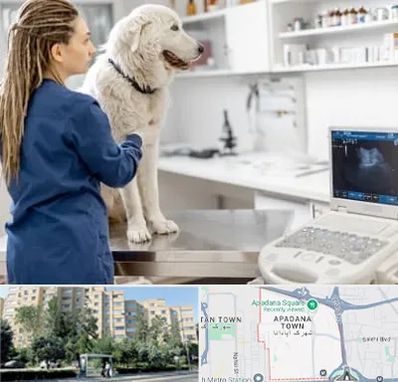 سونوگرافی سگ در آپادانا