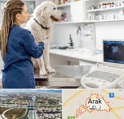 سونوگرافی سگ در اراک