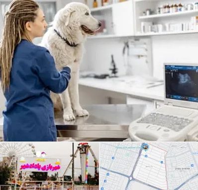 سونوگرافی سگ در پادادشهر اهواز