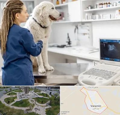 سونوگرافی سگ در ورامین