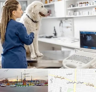 سونوگرافی سگ در میدان خراسان