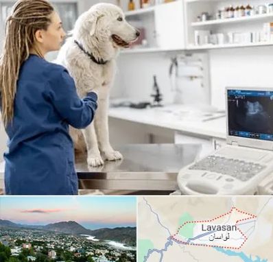 سونوگرافی سگ در لواسان