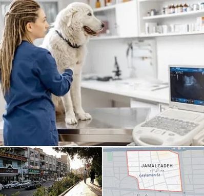 سونوگرافی سگ در خیابان جمالزاده