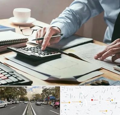 شرکت حسابداری در دولت