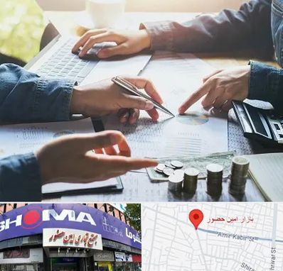 موسسه حسابداری در امین حضور