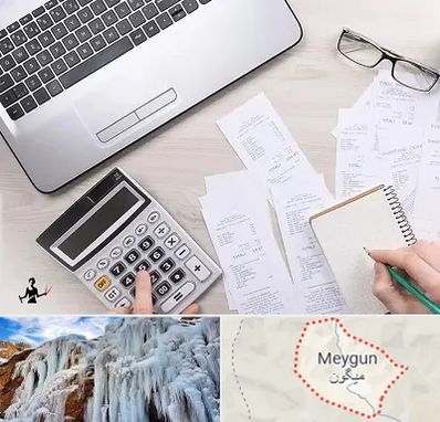 خدمات مالی و مالیاتی در میگون