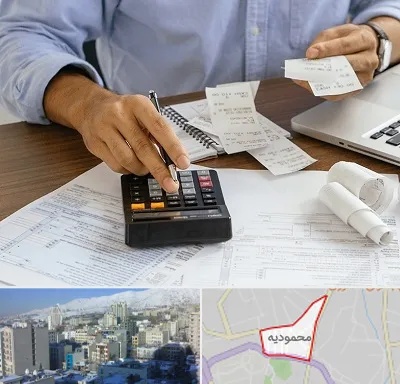 موسسه مالیاتی در محمودیه