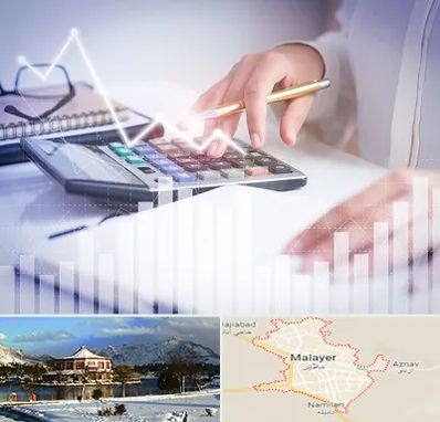 کارشناس مالیاتی در ملایر
